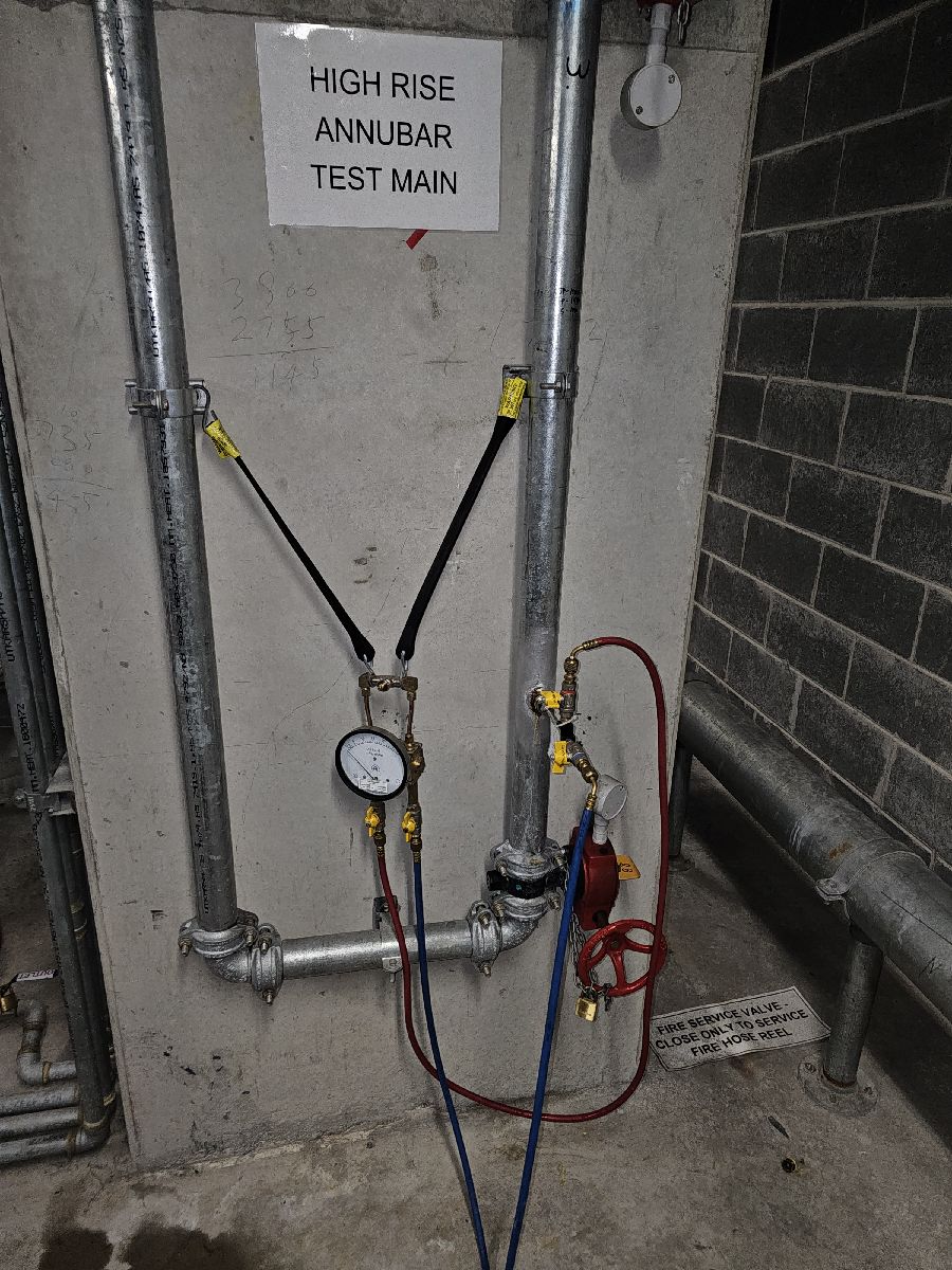 Fire Sprinkler System Types